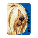 Recherche de tibétain magnets Chien