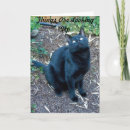 Recherche de yeux verts vœux cartes Félin