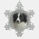 Recherche de border collie ornements Chiot