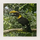 Recherche de toucan puzzles Jungle