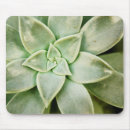 Recherche de ressorts tapis souris Photographie