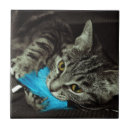 Recherche de cat carreaux Plumes