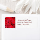 Recherche de de bouquet photographie Rose rouge