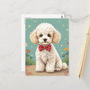 Zoek naar poedel hond briefkaarten Schattig