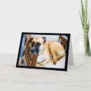 Recherche de chien noir vœux cartes Canin