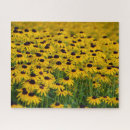 Zoek naar bloesems puzzels Zomer