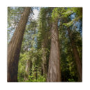 Zoek naar animal tegels Koe