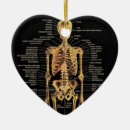 Recherche de squelette ornements Anatomie