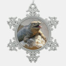 Recherche de rhinocéros ornements Faune