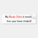 Recherche de border collie voiture autocollants Colleys de frontière