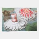 Recherche de nénuphar cuisine linges Étang