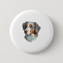 Recherche de chiens de berger australiens badges Chiot