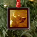 Recherche de berger allemand ornements Race de chiens