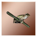Recherche de peinture grenouille posters Amphibien