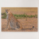 Recherche de guépards puzzles Safari