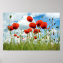 Recherche de poppy posters Jardin