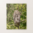 Zoek naar roofvogels puzzels Roofdier