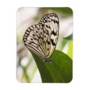 Recherche de cerfs volants volants magnets Faune
