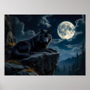 Recherche de noir loups posters Nuit