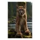 Recherche de piscine posters Pour eux