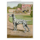 Zoek naar dalmatians kaarten Huisdieren