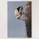 Recherche de cigognes puzzles Nature