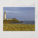 Recherche de matteo cartes postales Plage