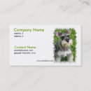 Recherche de miniature cartes visite Animaux familiers