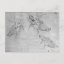 Recherche de pisanello cartes postales Dessin