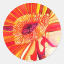 Zoek naar gerbera stickers Floreel