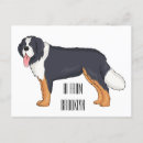 Zoek naar bernese berghond briefkaarten Huisdier