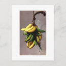 Recherche de amarillo cartes postales Travel