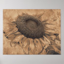 Recherche de sunflower art Vintage