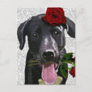 Recherche de labrador noir cartes postales Antique