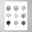 Recherche de dandelion posters Botanique