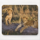 Recherche de panthera lion tapis souris Adam jones