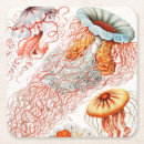 Recherche de meduse dessous de verres Méduse