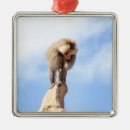 Recherche de singes ornements Animaux