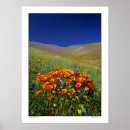 Recherche de antilopes posters Sud