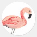 Zoek naar flamingo stickers Zwart