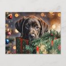 Recherche de chiot de laboratoire de chocolat posters Chiots