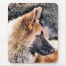 Recherche de alsacien tapis souris Berger allemand