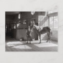 Recherche de écurie cartes postales Cheval