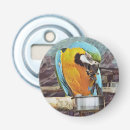 Recherche de perroquets ouvre bouteilles Macaw