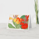 Zoek naar canna kaarten Floreel