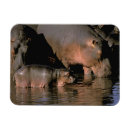 Recherche de hippopotame magnets Faune