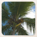 Recherche de cocotier dessous de verres Tropical