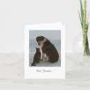 Zoek naar vriendenkaart kaarten Kat