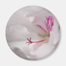 Recherche de géranium magnets Floral