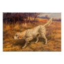 Zoek naar jachthonden posters For him